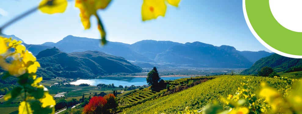 Herbst in Südtirol und Events von SMT Consulting Meran